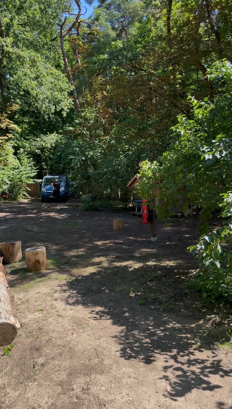 Dieselbe Gartenecke nach dem Rückschnitt, freigeschnitten und aufgeräumt