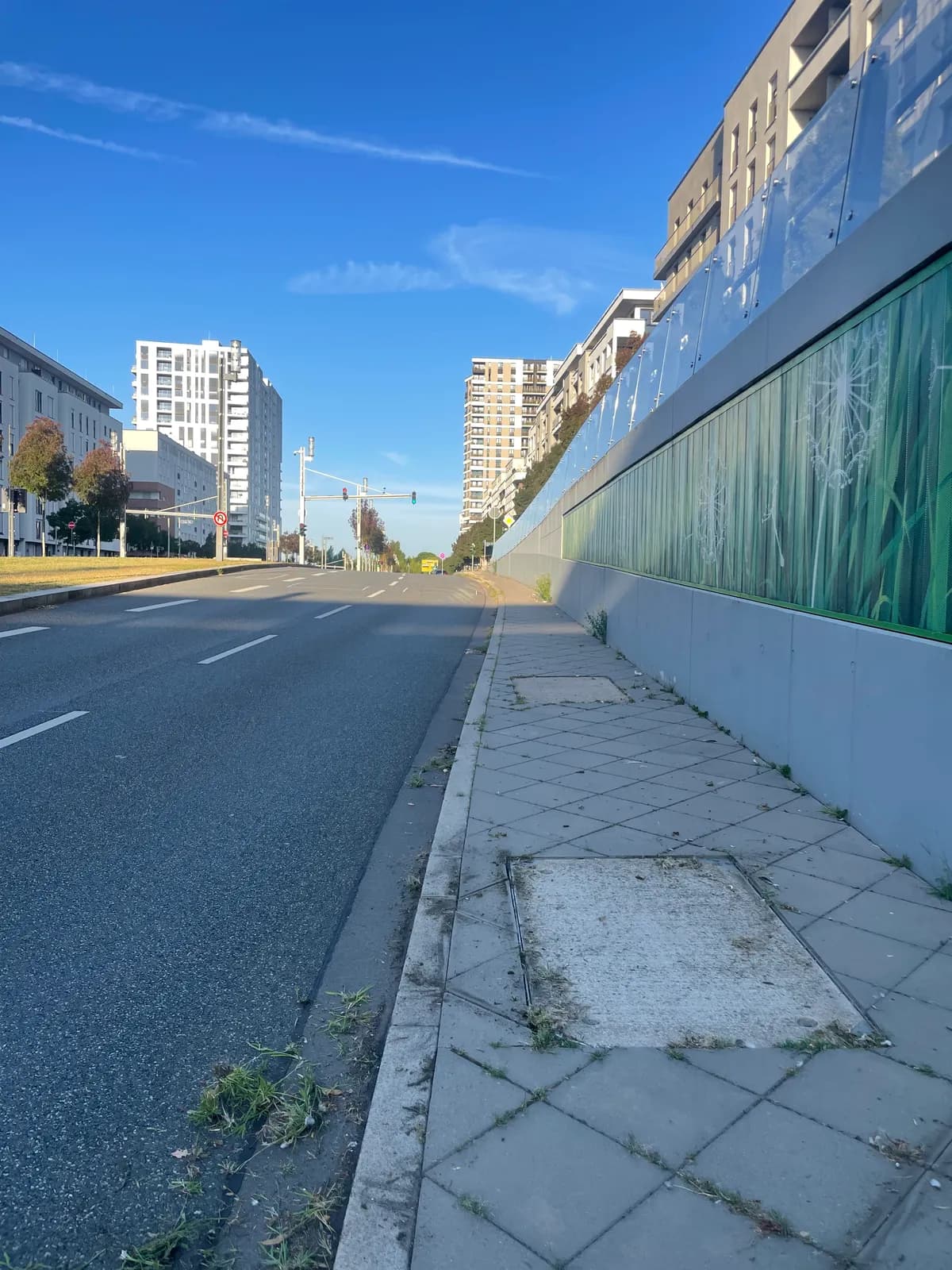 Gehweg einer Außenanlage mit Unkraut in den Fugen vor der Unkrautentfernung