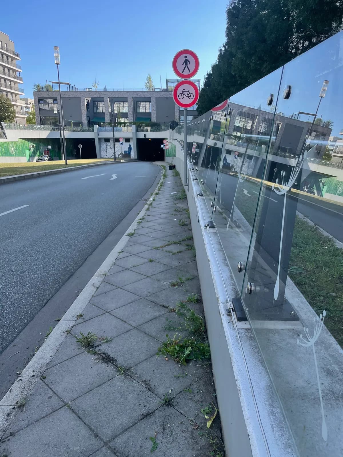 Gehweg mit Unkrautbewuchs entlang einer Straße vor der Unkrautentfernung