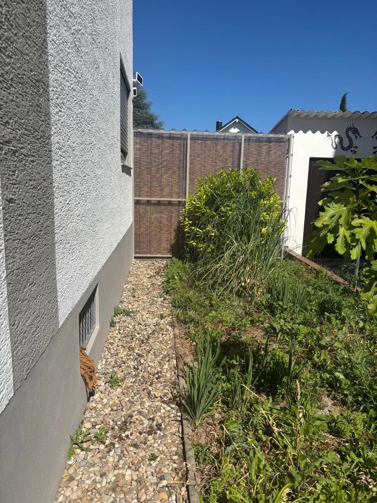 Kiesfläche am Haus mit Unkrautbewuchs vor der Bearbeitung